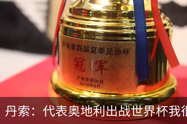 丹索：代表奥地利出战世界杯我很兴奋 朗尼克带来明确的足球哲学